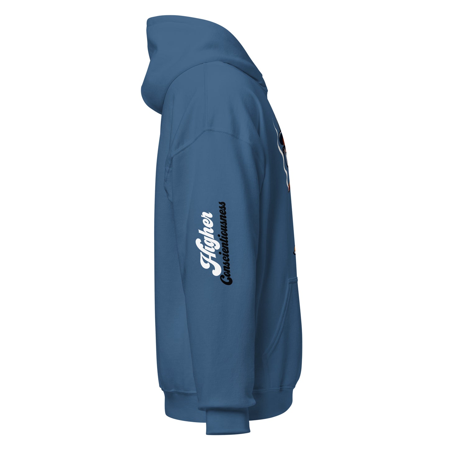 Higher Consciousness Unisex Hoodie by Amagiri Young