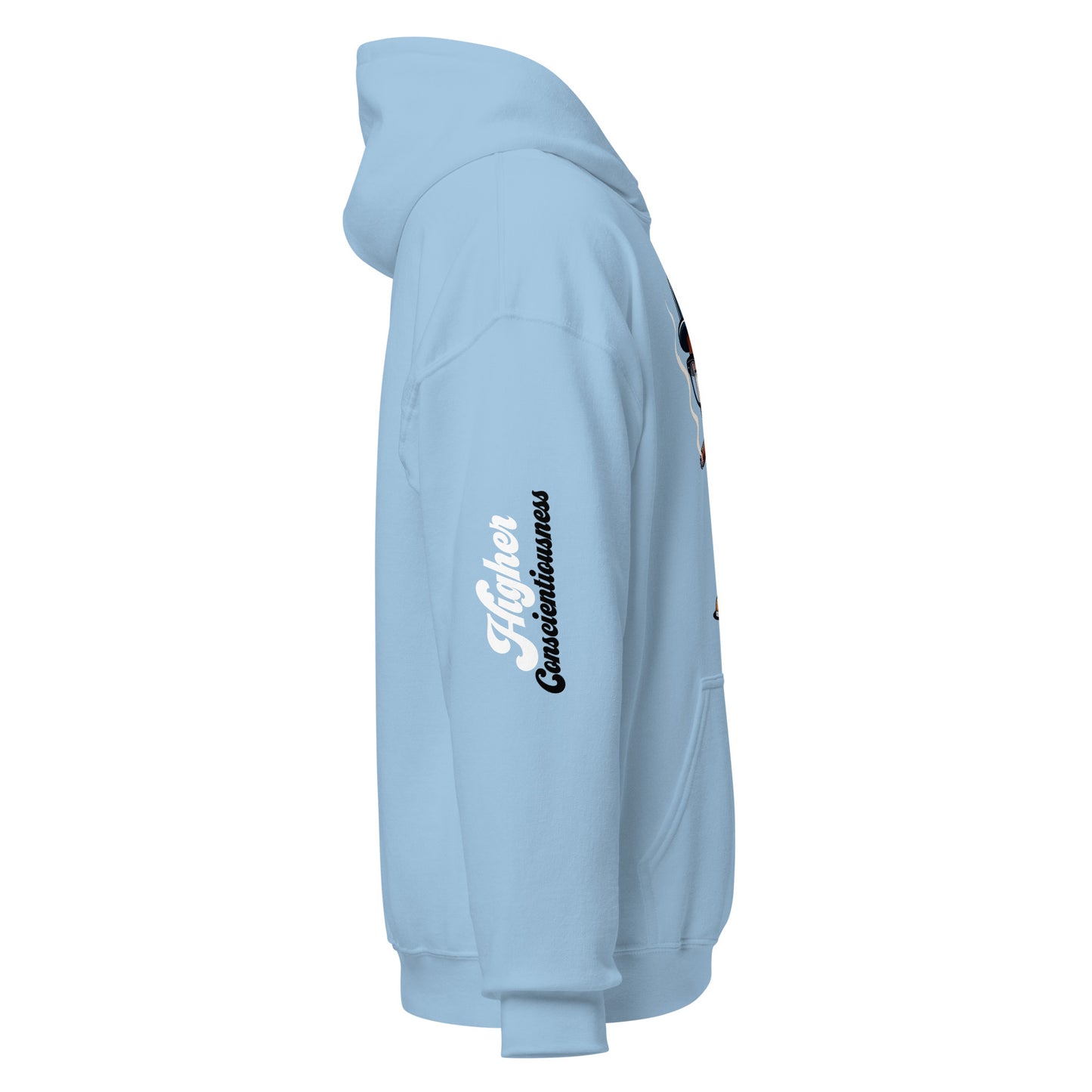 Higher Consciousness Unisex Hoodie by Amagiri Young