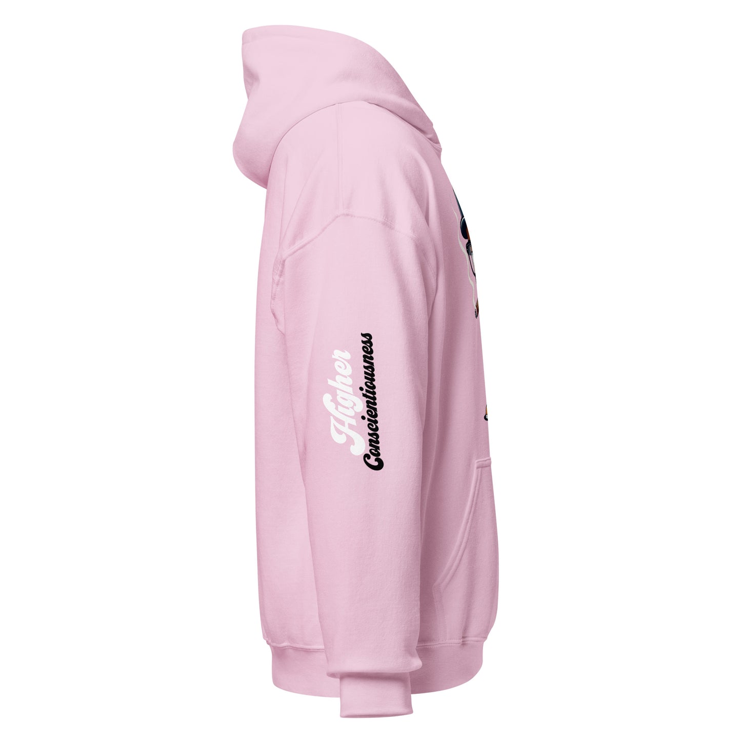 Higher Consciousness Unisex Hoodie by Amagiri Young