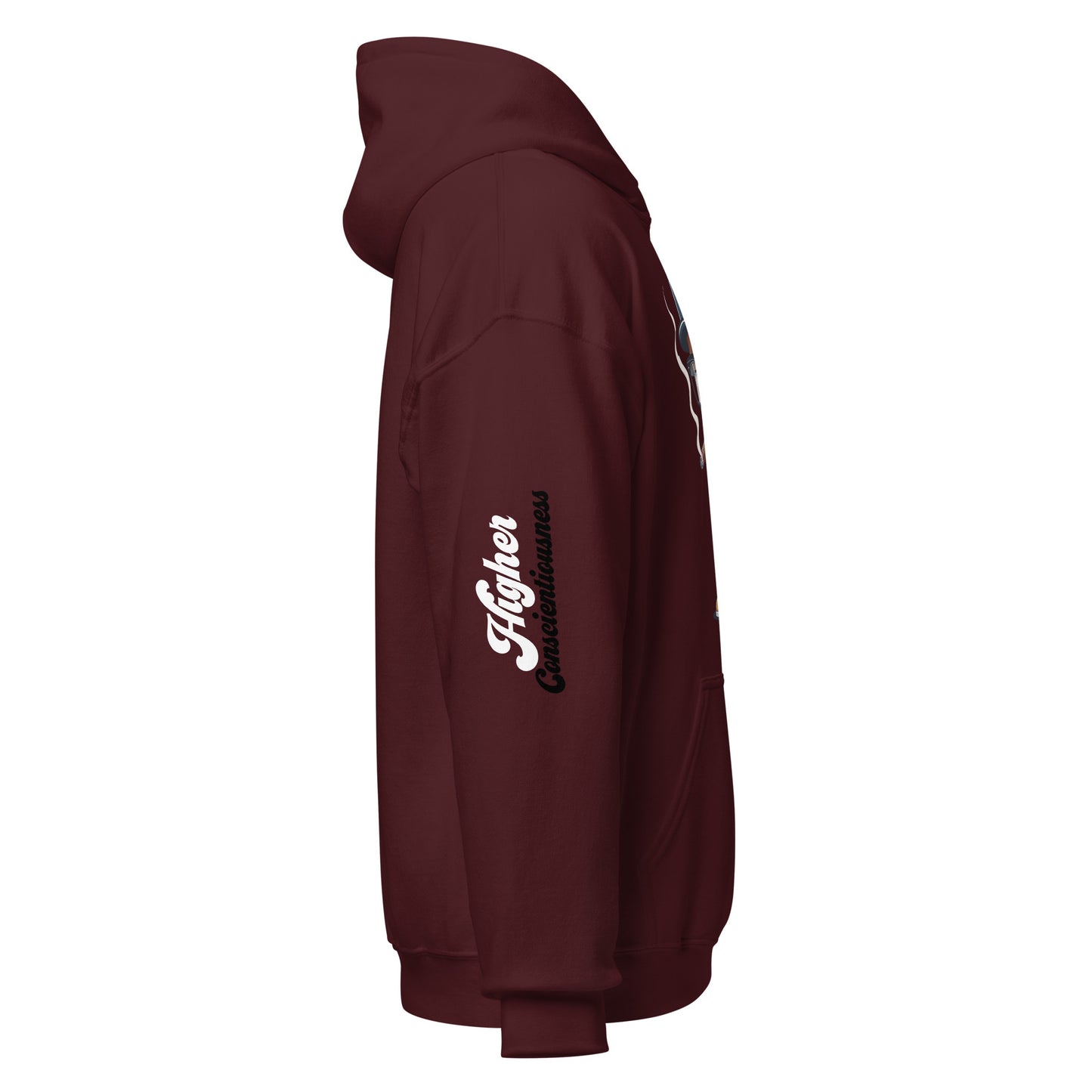 Higher Consciousness Unisex Hoodie by Amagiri Young