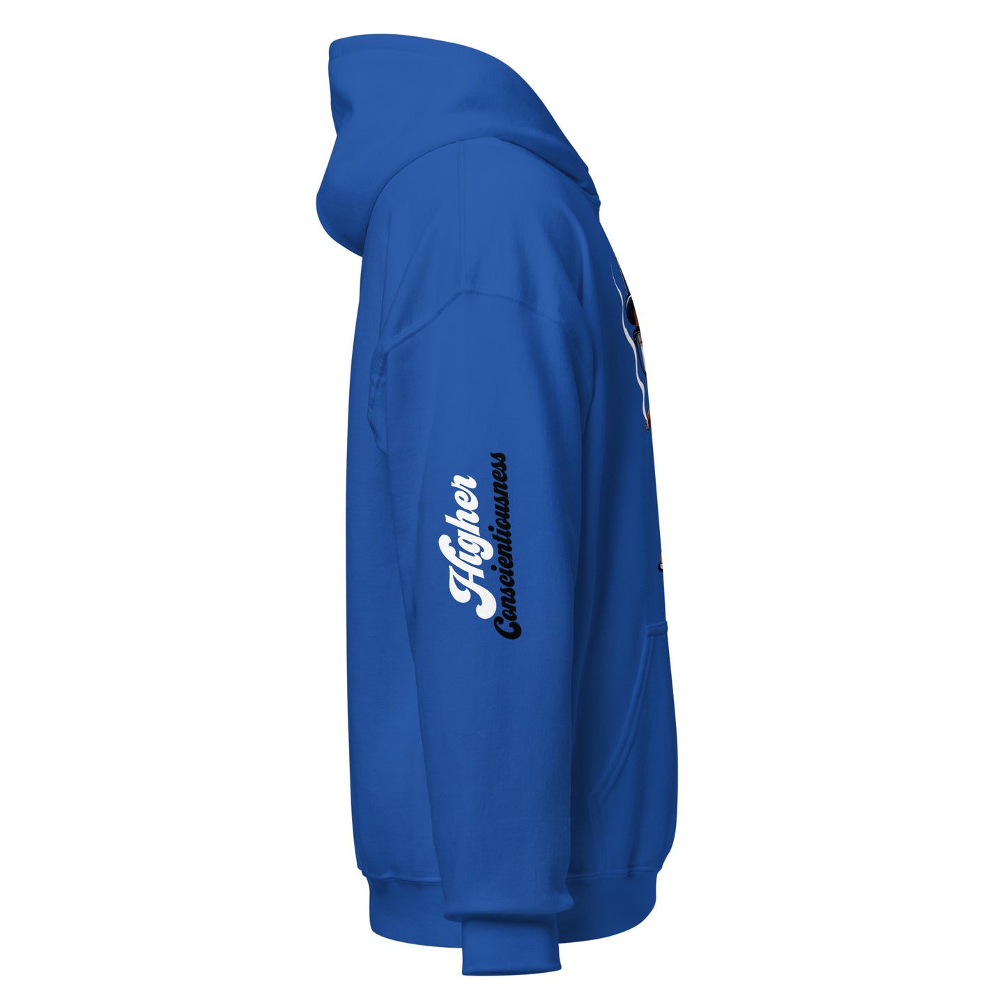 Higher Consciousness Unisex Hoodie by Amagiri Young