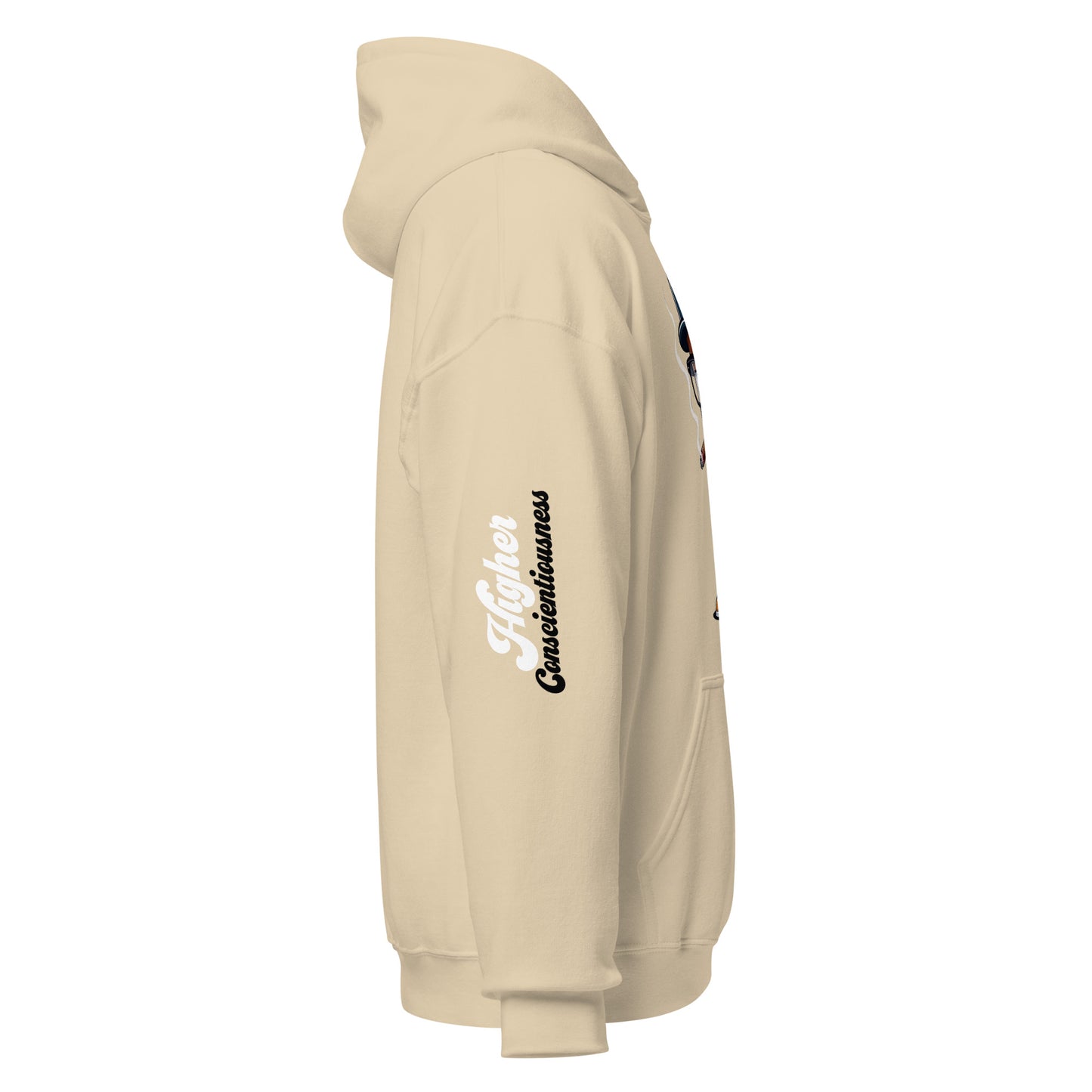 Higher Consciousness Unisex Hoodie by Amagiri Young